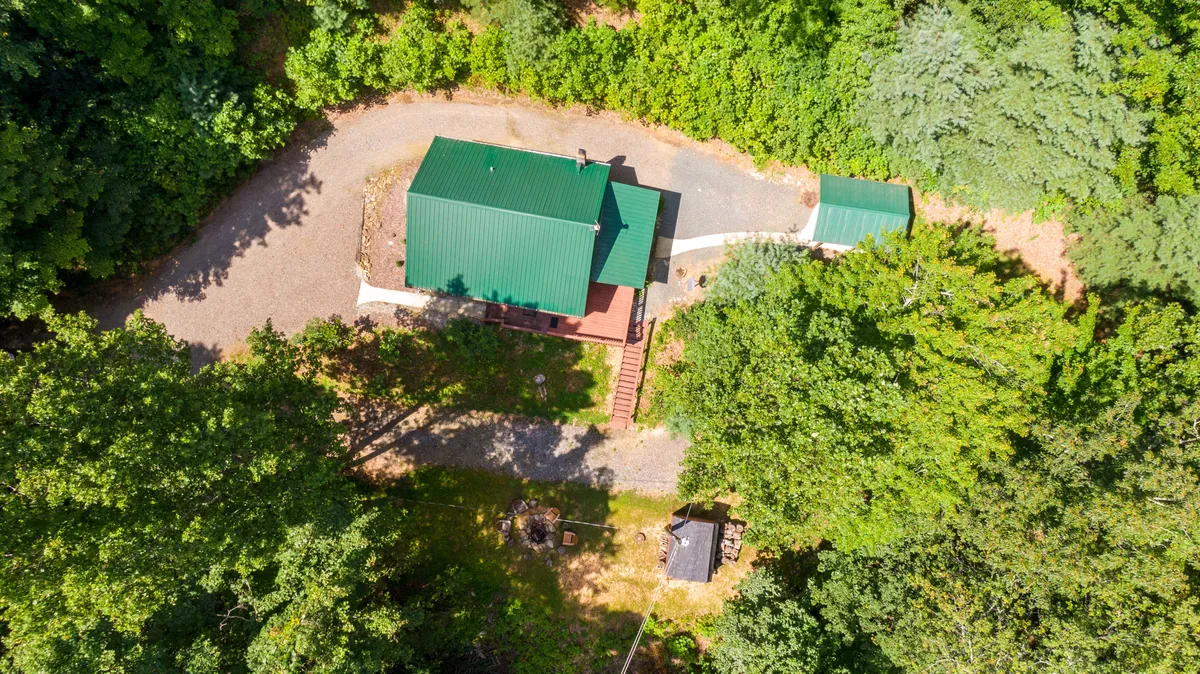 An exterior shot of the cabin with a green roof, surrounded by tall trees. A winding driveway leads through the property, and a small shed sits nearby. The open yard area feels serene and inviting for outdoor exploration and wildlife spotting.